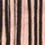 Zebra wood